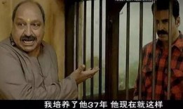 电影不结婚在线观看,爱情与自由的抉择