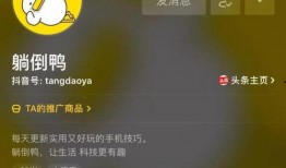 抖音最火视频爆料,热门背后惊人真相！